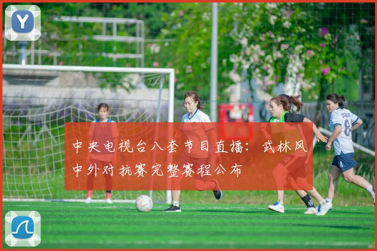 中央电视台八套节目直播：武林风中外对抗赛完整赛程公布