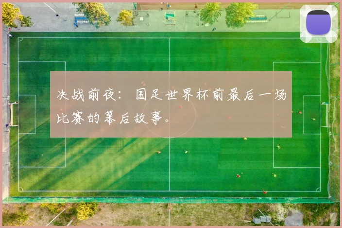 决战前夜:国足世界杯前最后一场比赛的幕后故事。
