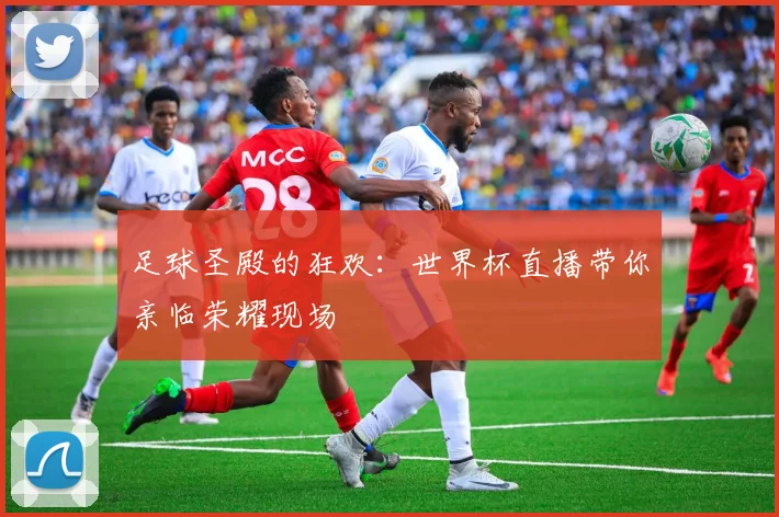 足球圣殿的狂欢：世界杯直播带你亲临荣耀现场