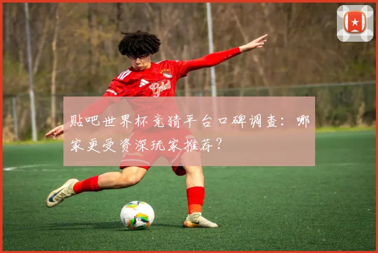 贴吧世界杯竞猜平台口碑调查：哪家更受资深玩家推荐？