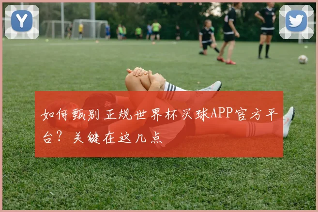 如何甄别正规世界杯买球APP官方平台？关键在这几点